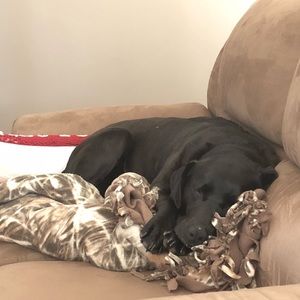 Meet your Posher, Kaylee